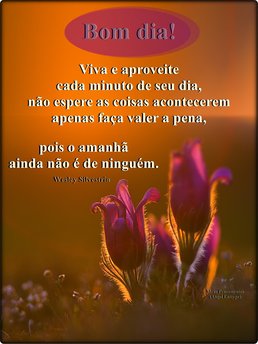 Frases de bom dia