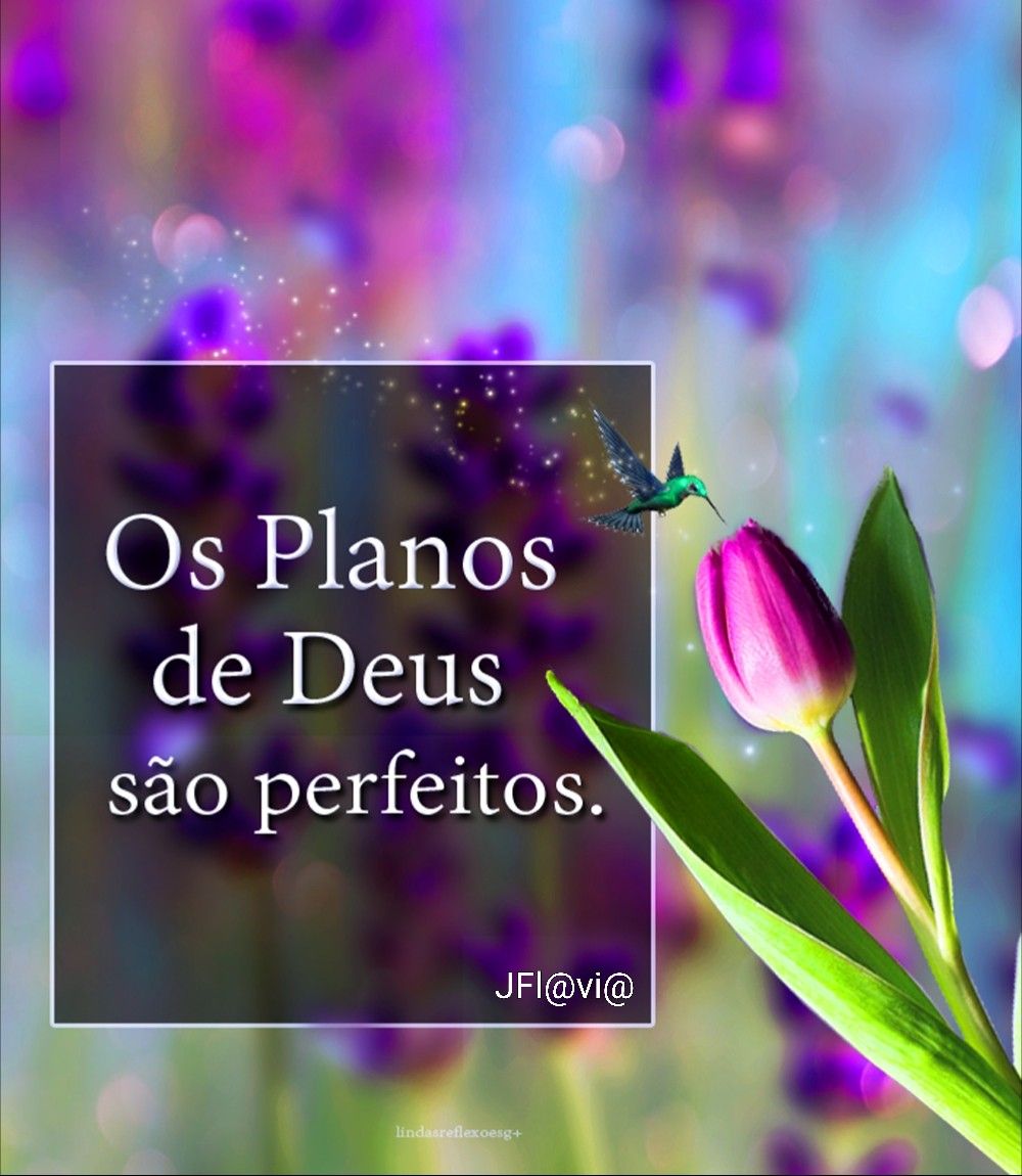 Os Planos de Deus são Perfeitos!
