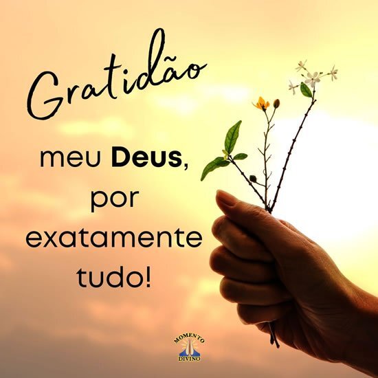 Gratidão meu Deus, por exatamente Tudo!!